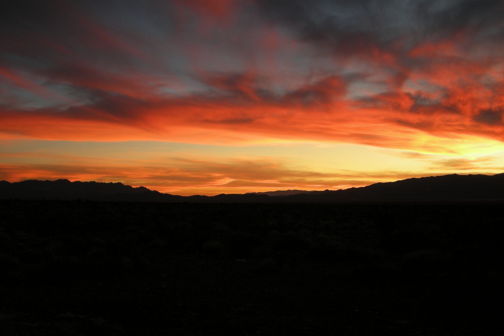 DSCN3497.jpg