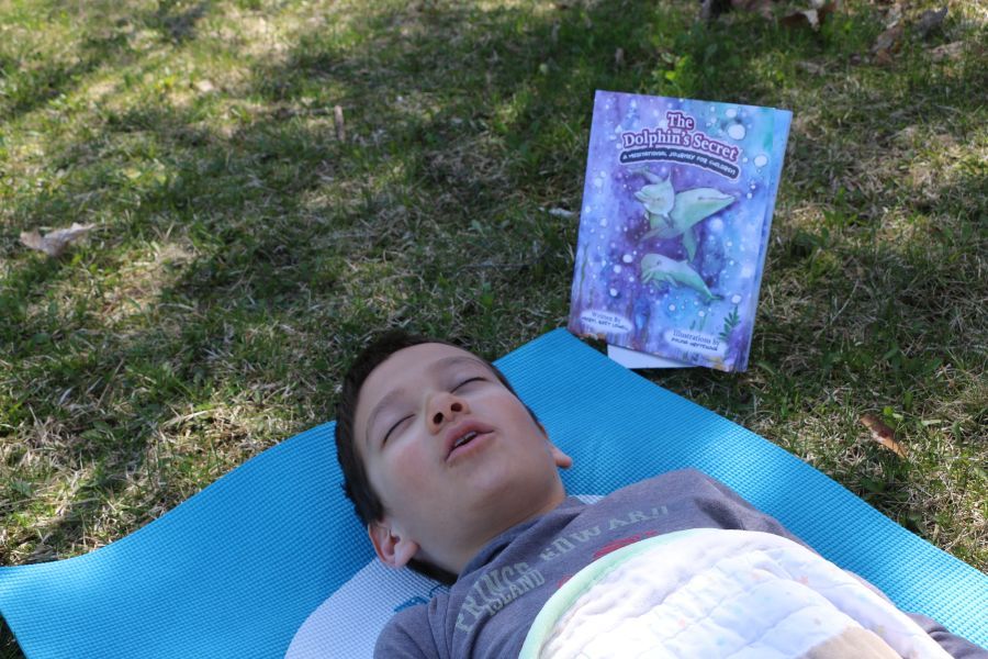 The Dolphin's Secret: A Meditational Journey for Children