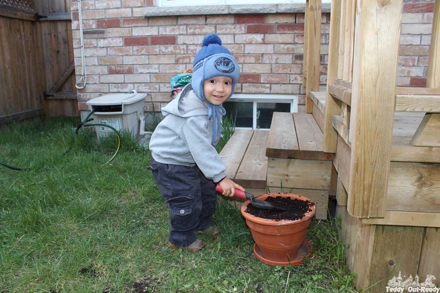 Teddy gardener