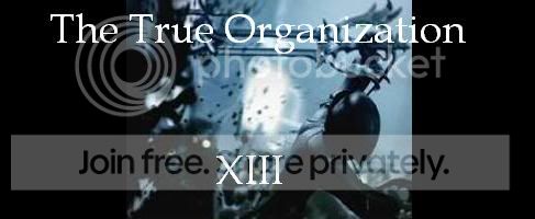 The True Organization XIII of gaia banner
