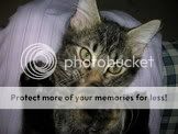 Image hosting by Photobucket