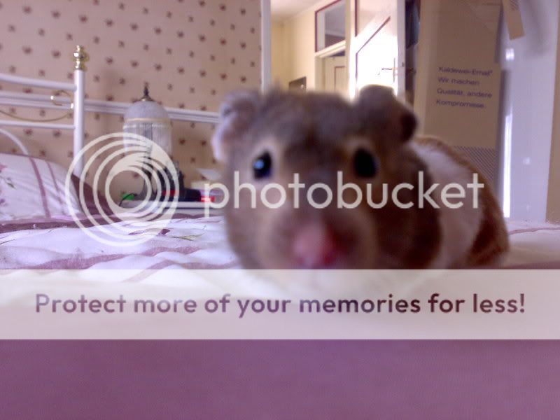 10082007253.jpg