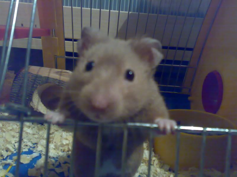 16112007484.jpg