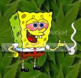 https://i34.photobucket.com/albums/d137/305luda/spongebob.jpg
