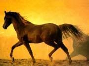 http://i34.photobucket.com/albums/d141/MJAngeL_03/BG-HORS.jpg