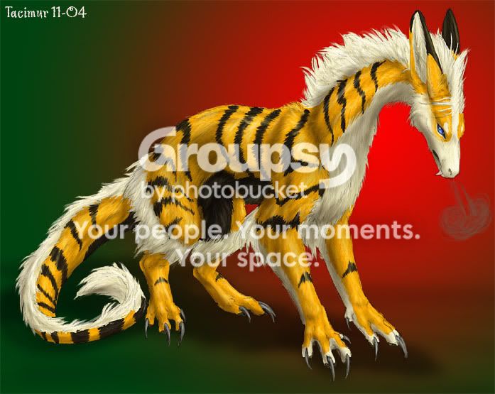 User Image